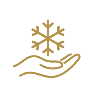 Snowflake above a cupped hand-3